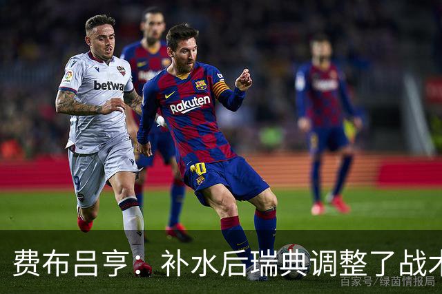 费布吕亨：补水后瑞典调整了战术，费布吕亨做出几次关键扑救